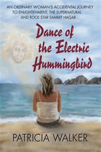 Dance of the Electric Hummingbird