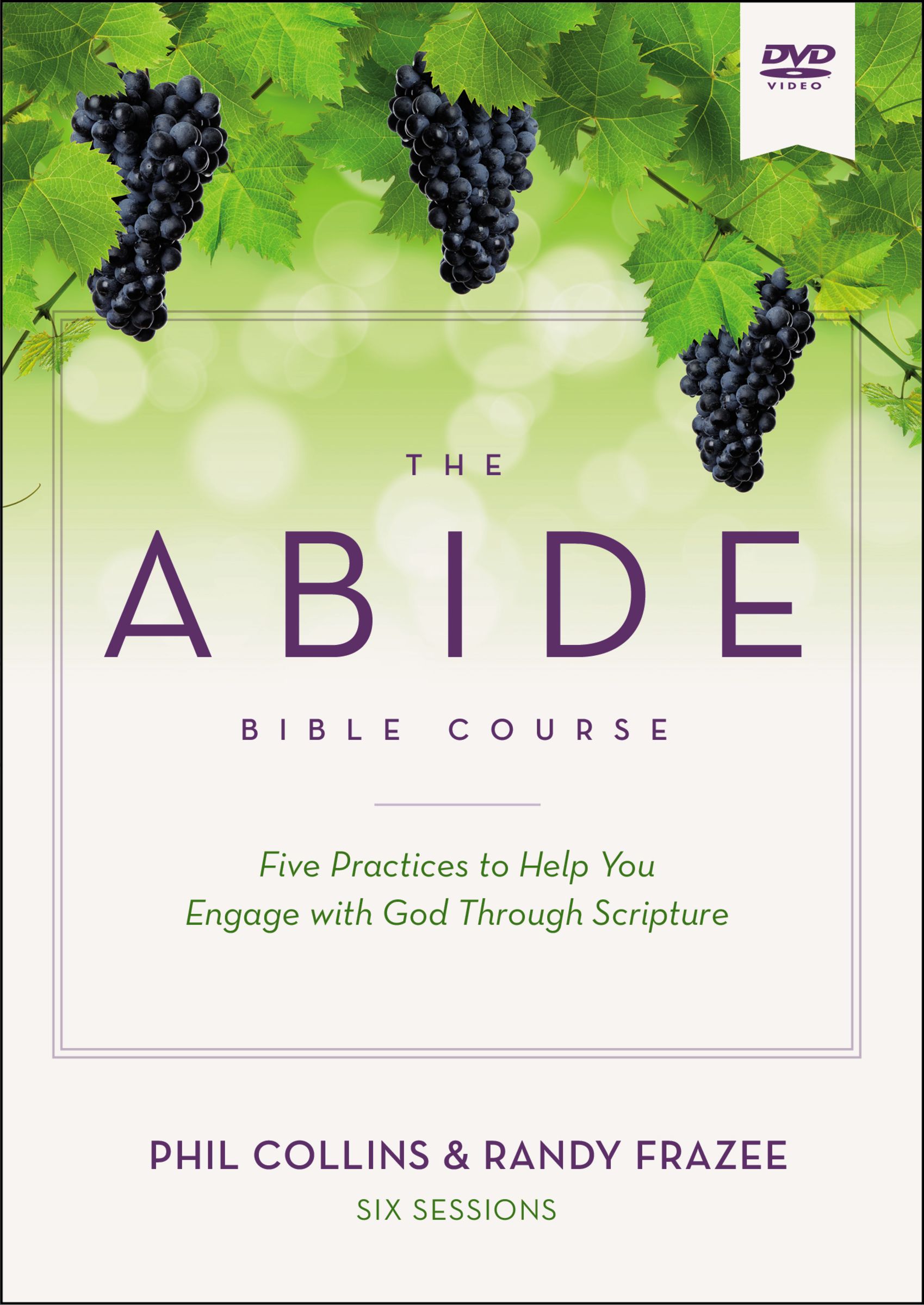 The  Abide Bible Course Video Study