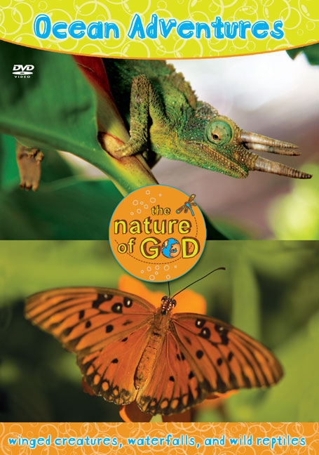 Ocean Adventures, Volume 3