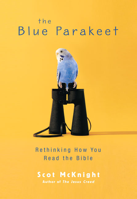 The Blue Parakeet