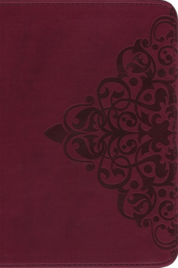 NIV, Single-Column Bible, Leathersoft, Burgundy