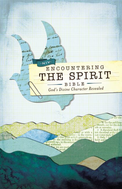NIV, Encountering the Spirit Bible, Hardcover (Encounter Bible Series)