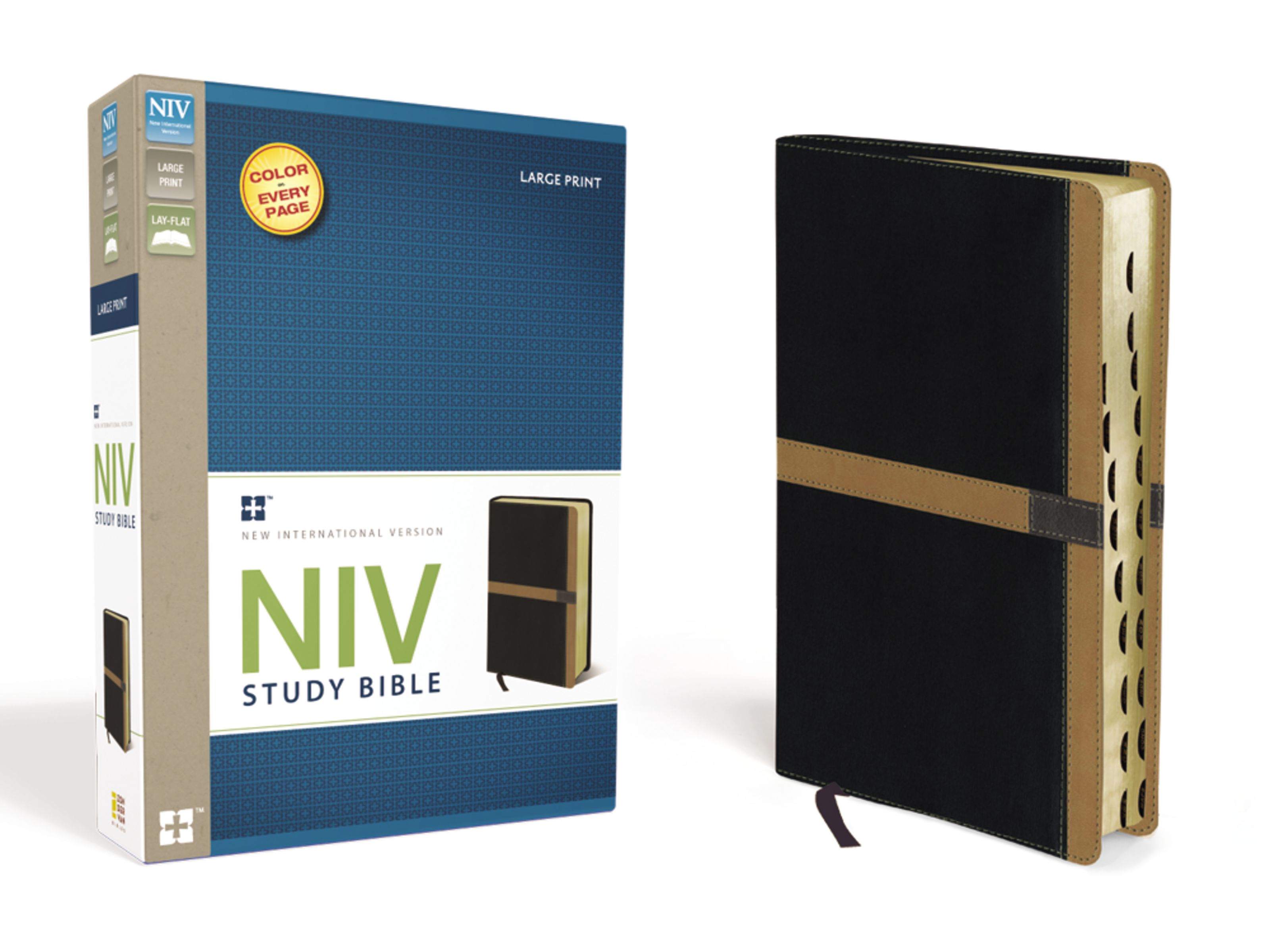 NIV Study Bible, Large Print, Leathersoft, Black/Tan, Red Letter, Thumb Indexed