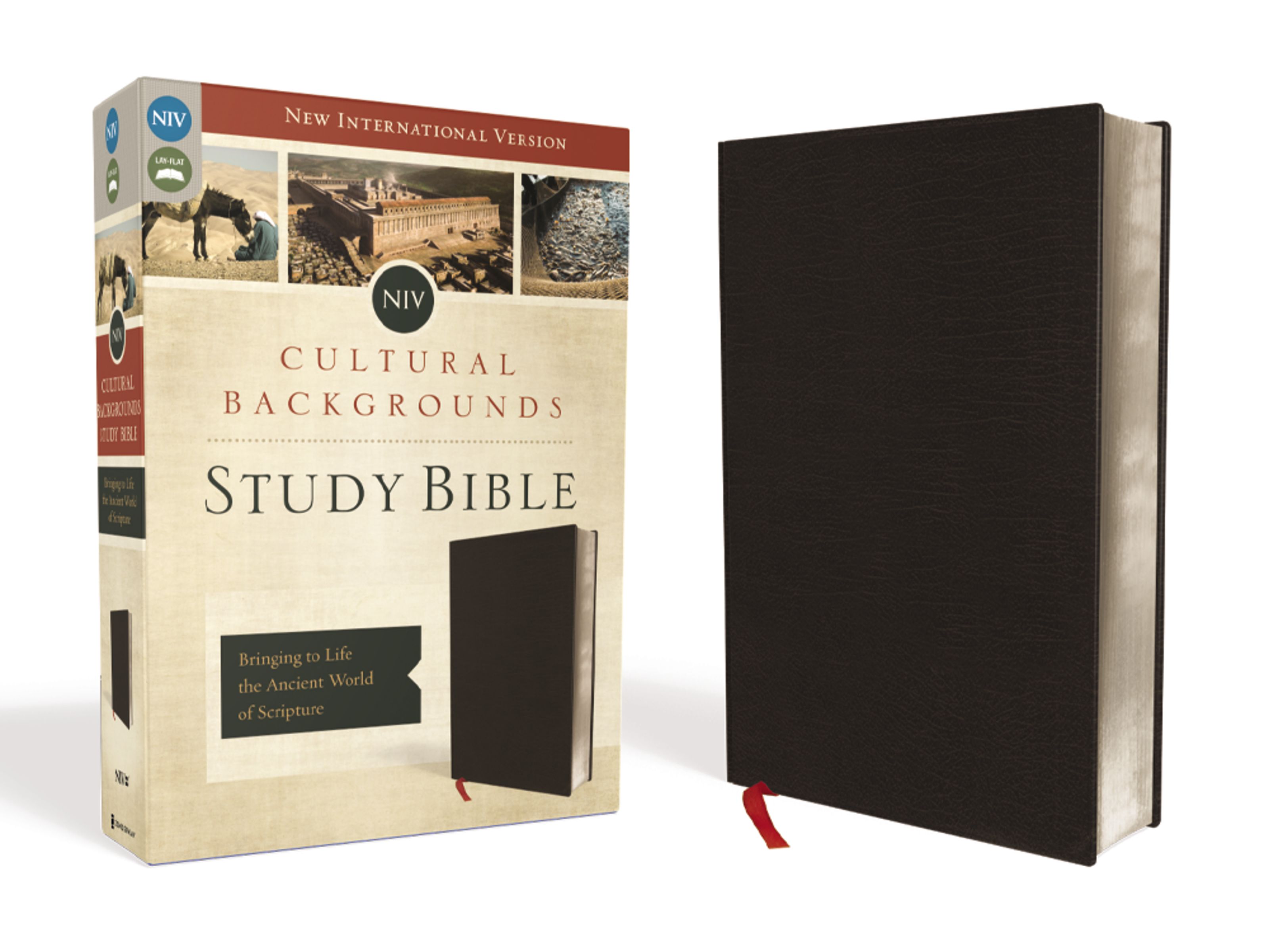 NIV, Cultural Backgrounds Study Bible, Bonded Leather, Black, Red Letter