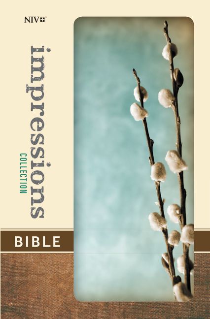 NIV, Impressions Collection Bible, Hardcover, Turquoise/Gray