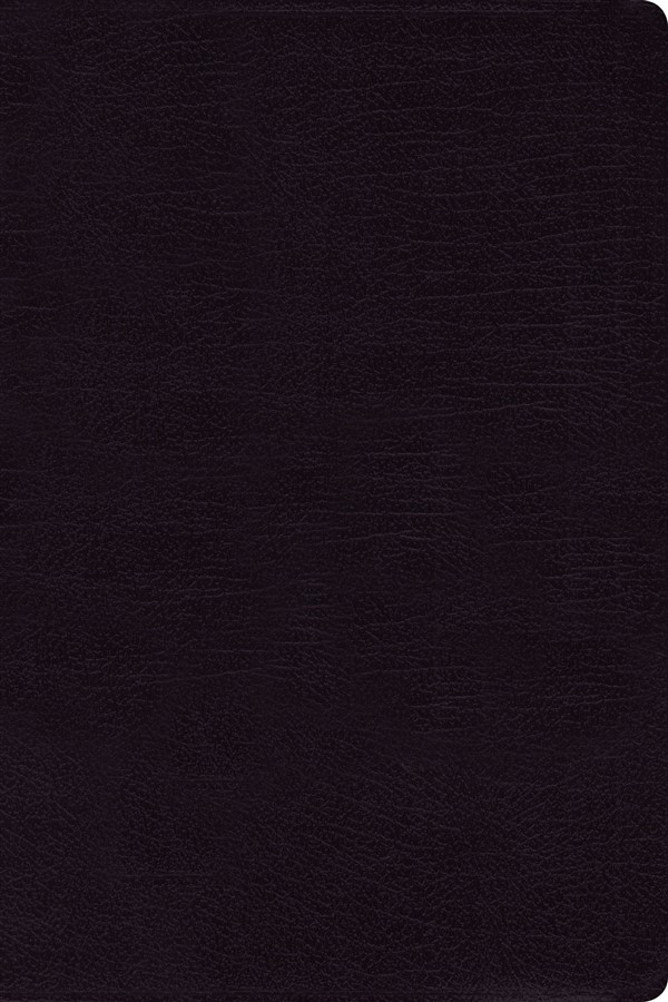 NIV, Reference Bible, Large Print, Bonded Leather, Black, Red Letter Edition