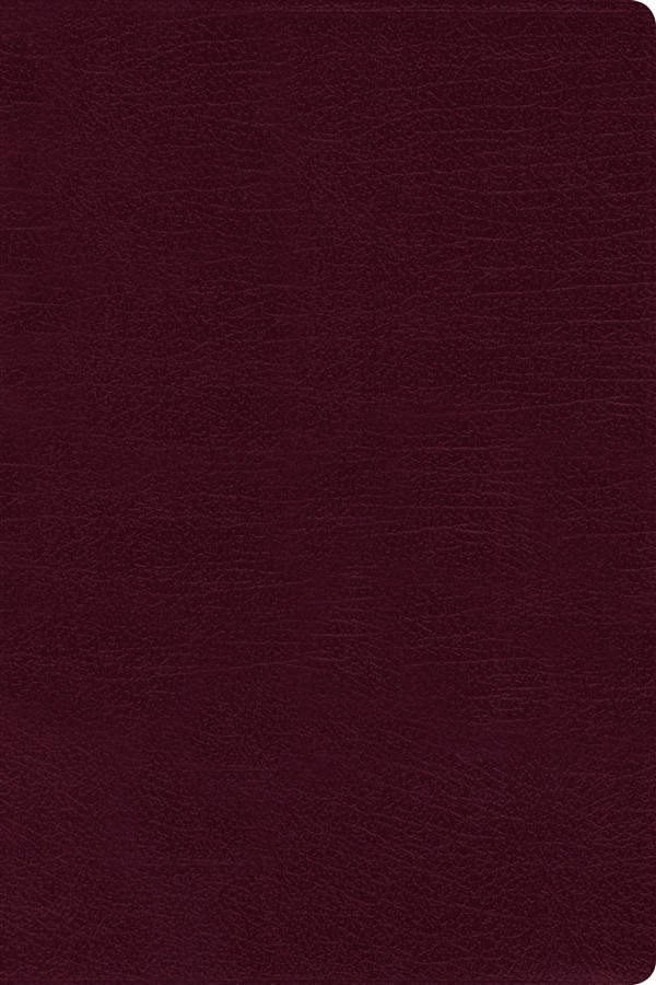 NIV, Reference Bible, Large Print, Bonded Leather, Burgundy, Red Letter Edition