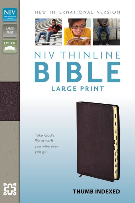 NIV, Thinline Bible, Large Print, Bonded Leather, Burgundy, Indexed, Red Letter Edition