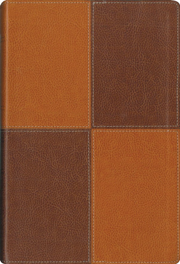 NIV, Thinline Reference Bible, Large Print, Leathersoft, Tan/Brown, Red Letter Edition