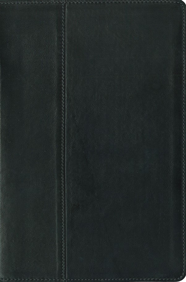 NIV, Thinline Reference Bible, Large Print, Premium Leather, Black, Red Letter Edition