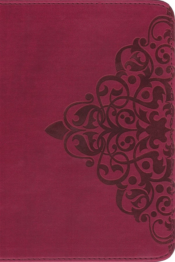 NIV, Holy Bible New Testament with Psalms and   Proverbs, Pocket-Sized, Leathersoft, Red