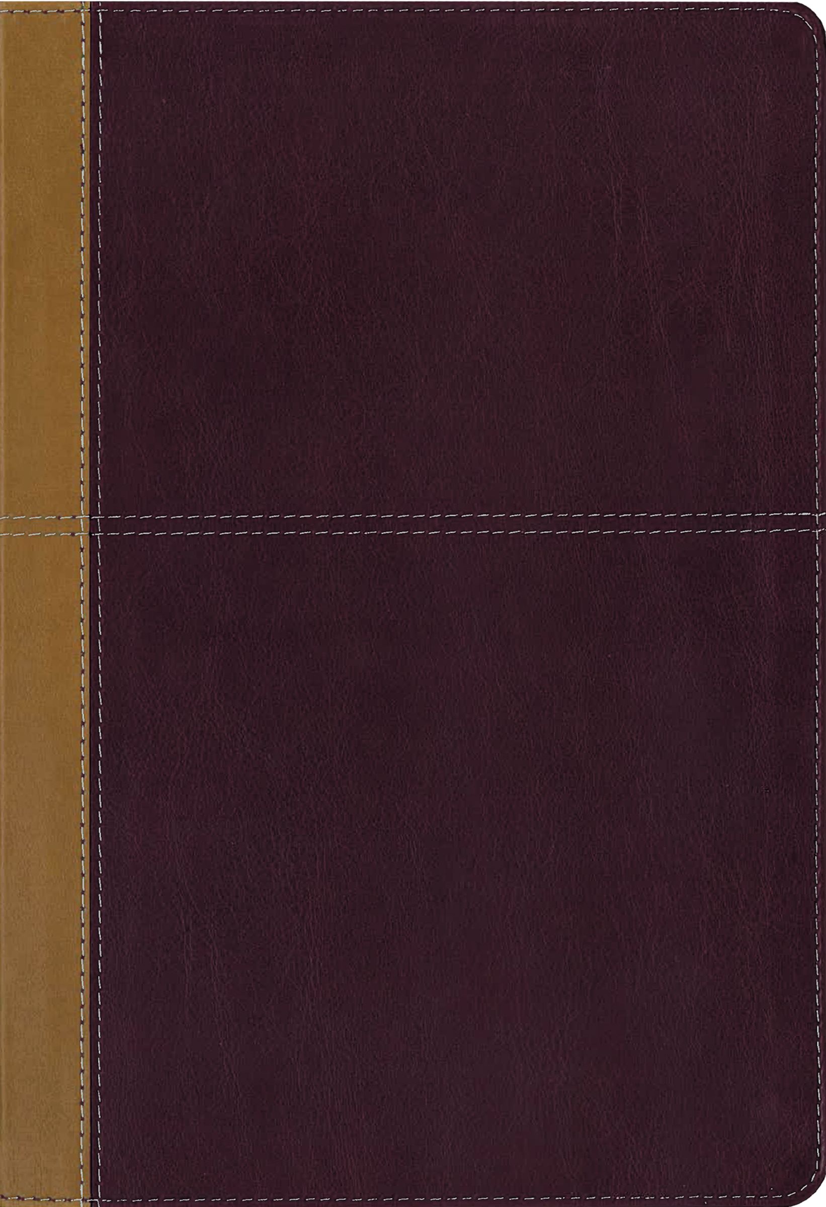 KJV, Amplified, Parallel Bible, Large Print, Leathersoft, Tan/Red, Red Letter Edition