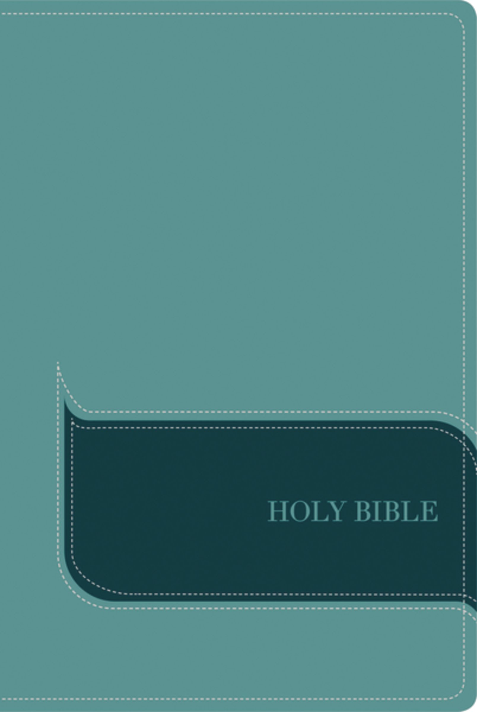 NIV, Understand the Faith Study Bible, Leathersoft, Teal, Indexed