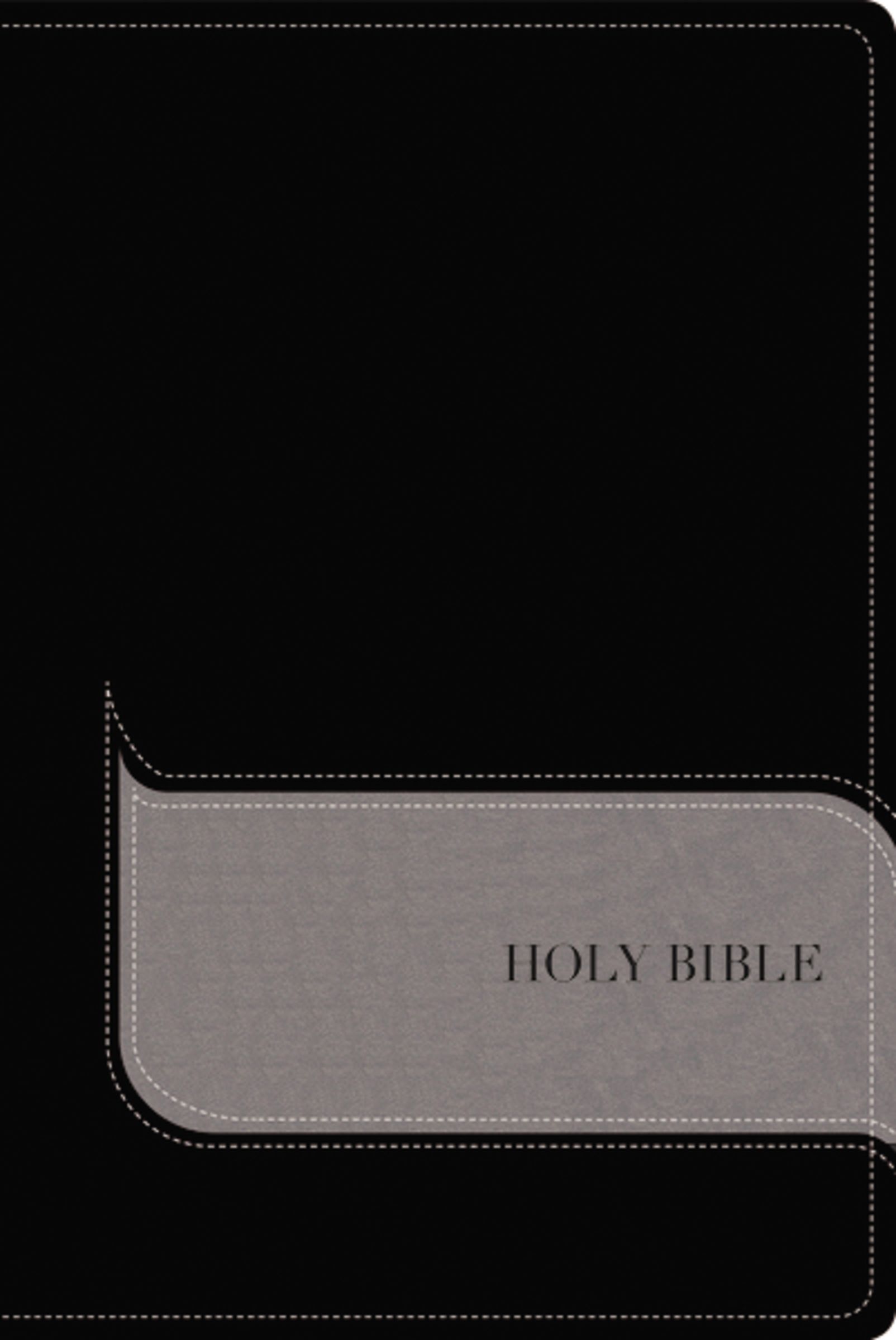 NIV, Understand the Faith Study Bible, Leathersoft, Black/Gray, Indexed