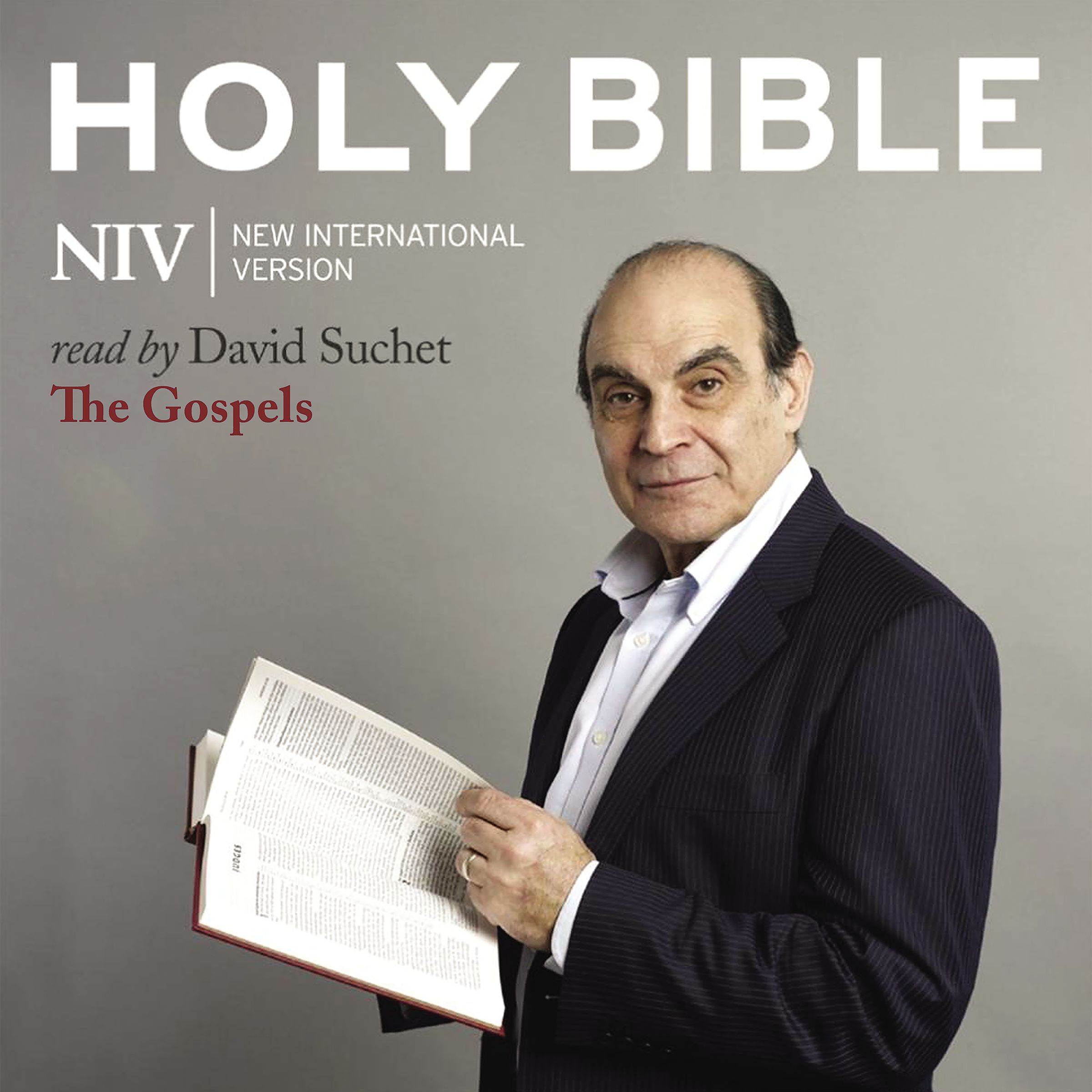 NIV, Audio Bible 7: The Gospels, Audio Download