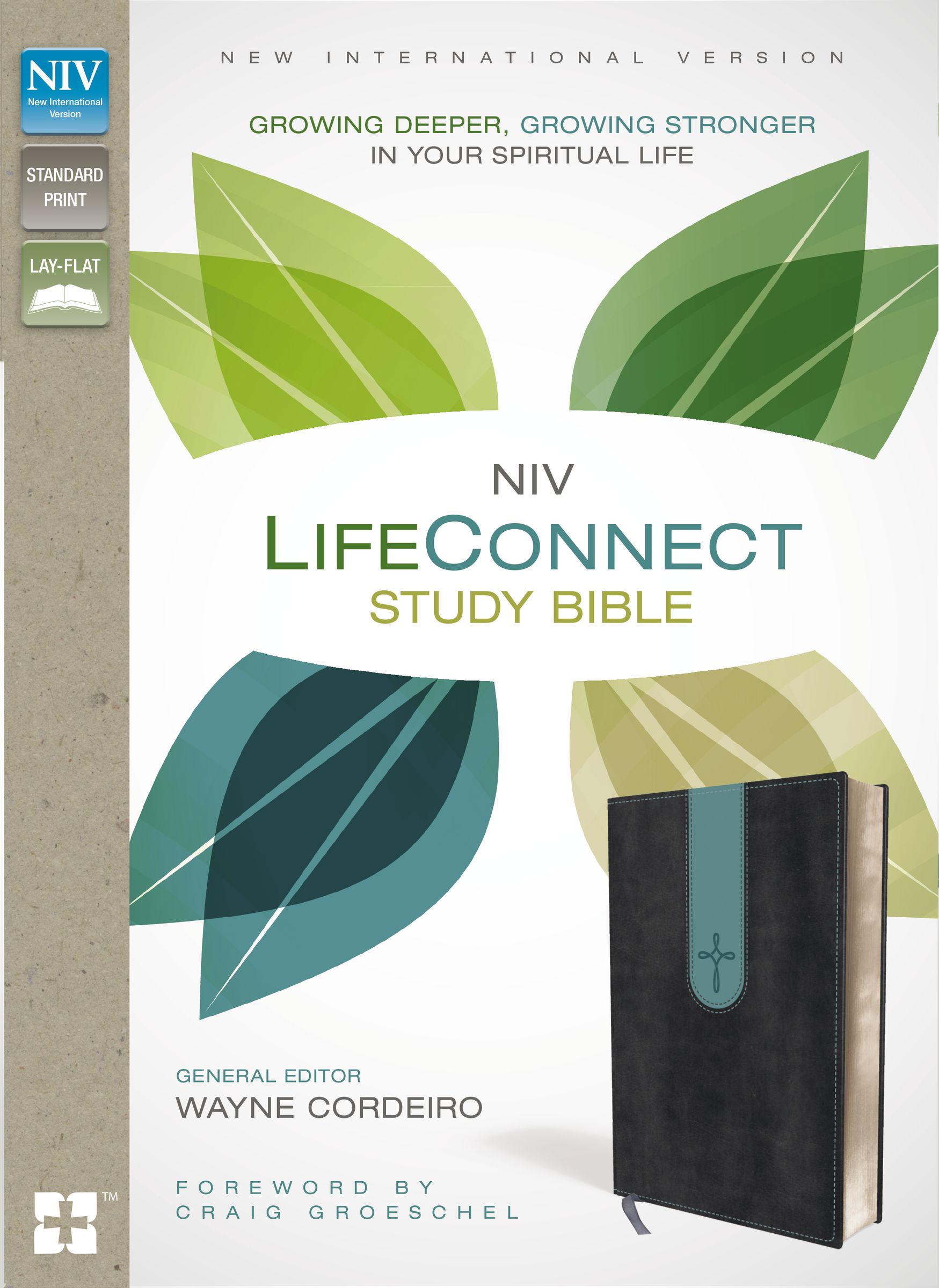 NIV, LifeConnect Study Bible, Leathersoft, Gray/Blue, Indexed, Red Letter Edition