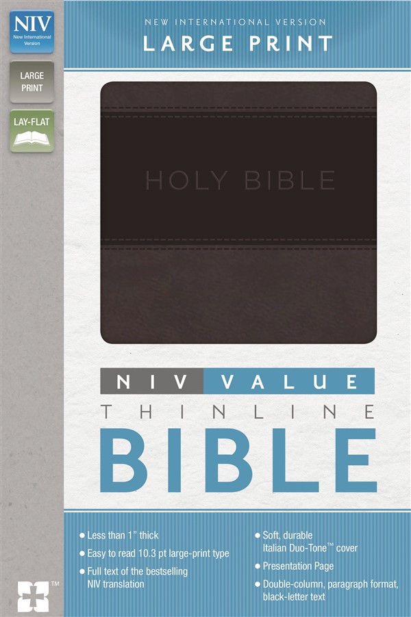 NIV, Value Thinline Bible, Large Print, Imitation Leather, Gray/Black