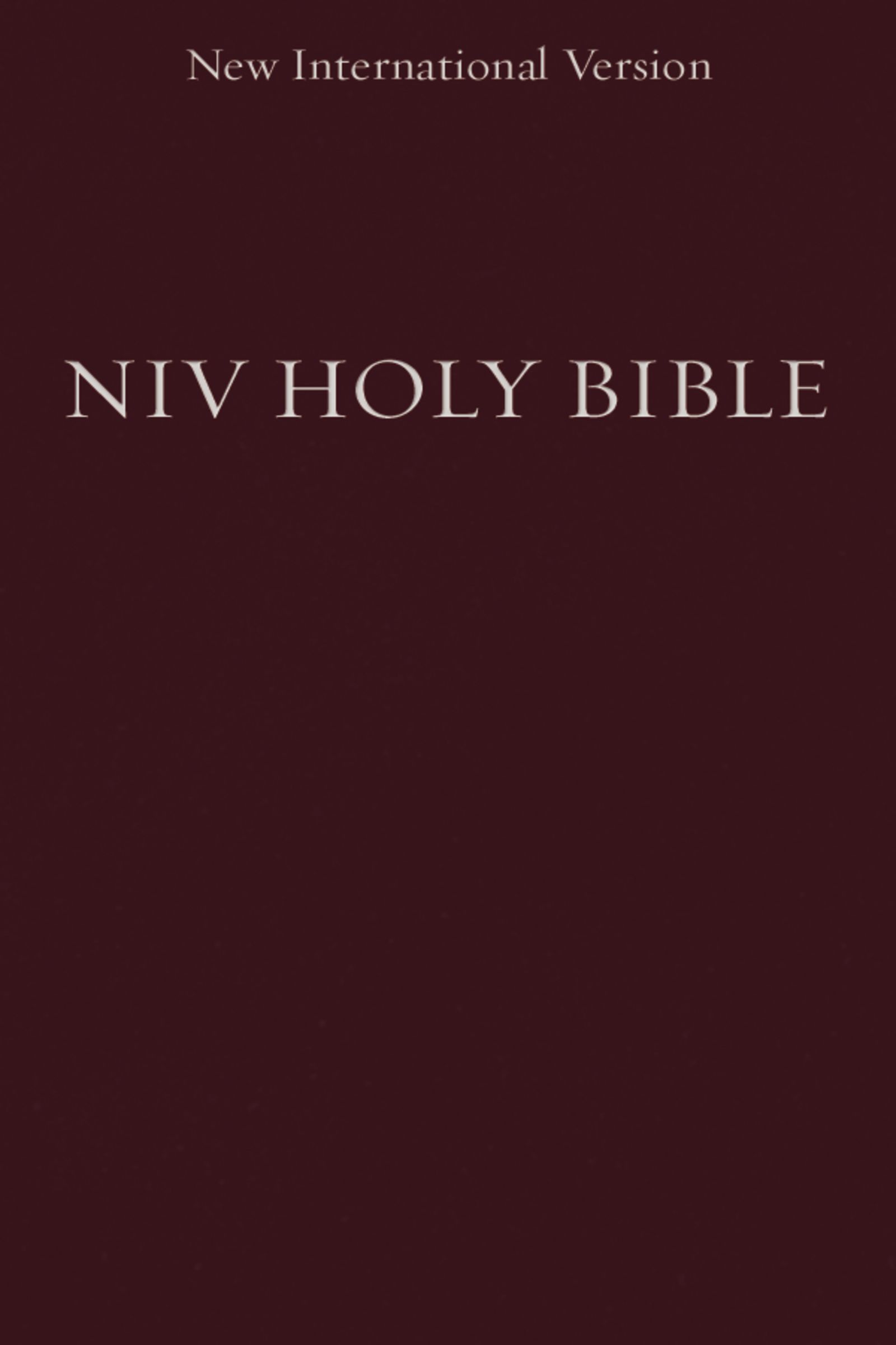 NIV, Holy Bible, Compact, Paperback, Burgundy