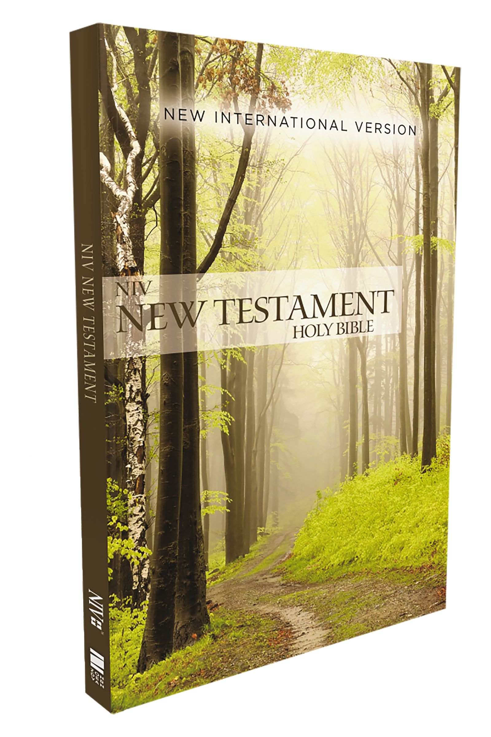 NIV, Outreach New Testament, Paperback