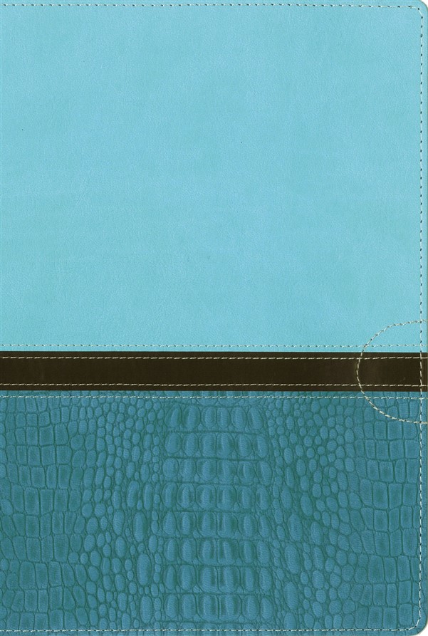NIV, Quest Study Bible, Leathersoft, Teal, Indexed