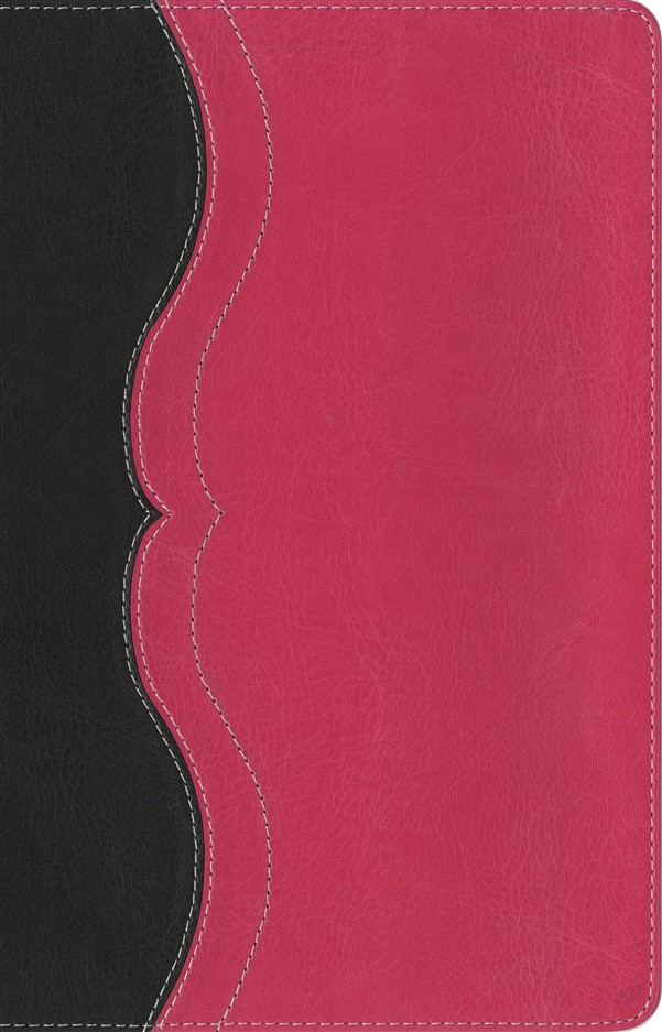 NIV, Quest Study Bible, Personal Size, Leathersoft, Gray/Pink, Indexed