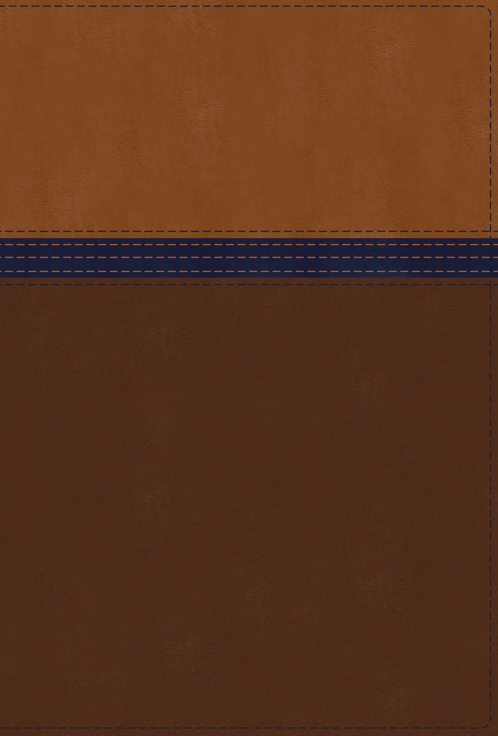 NIV Study Bible, Fully Revised Edition, Personal Size, Leathersoft, Brown/Blue, Red Letter, Comfort Print