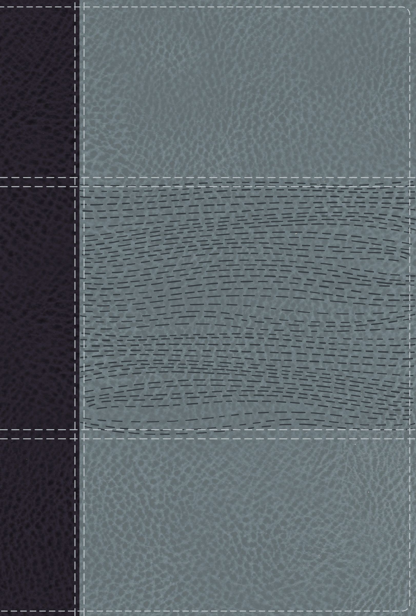 NIV Study Bible, Fully Revised Edition, Personal Size, Leathersoft, Navy/Blue, Red Letter, Comfort Print