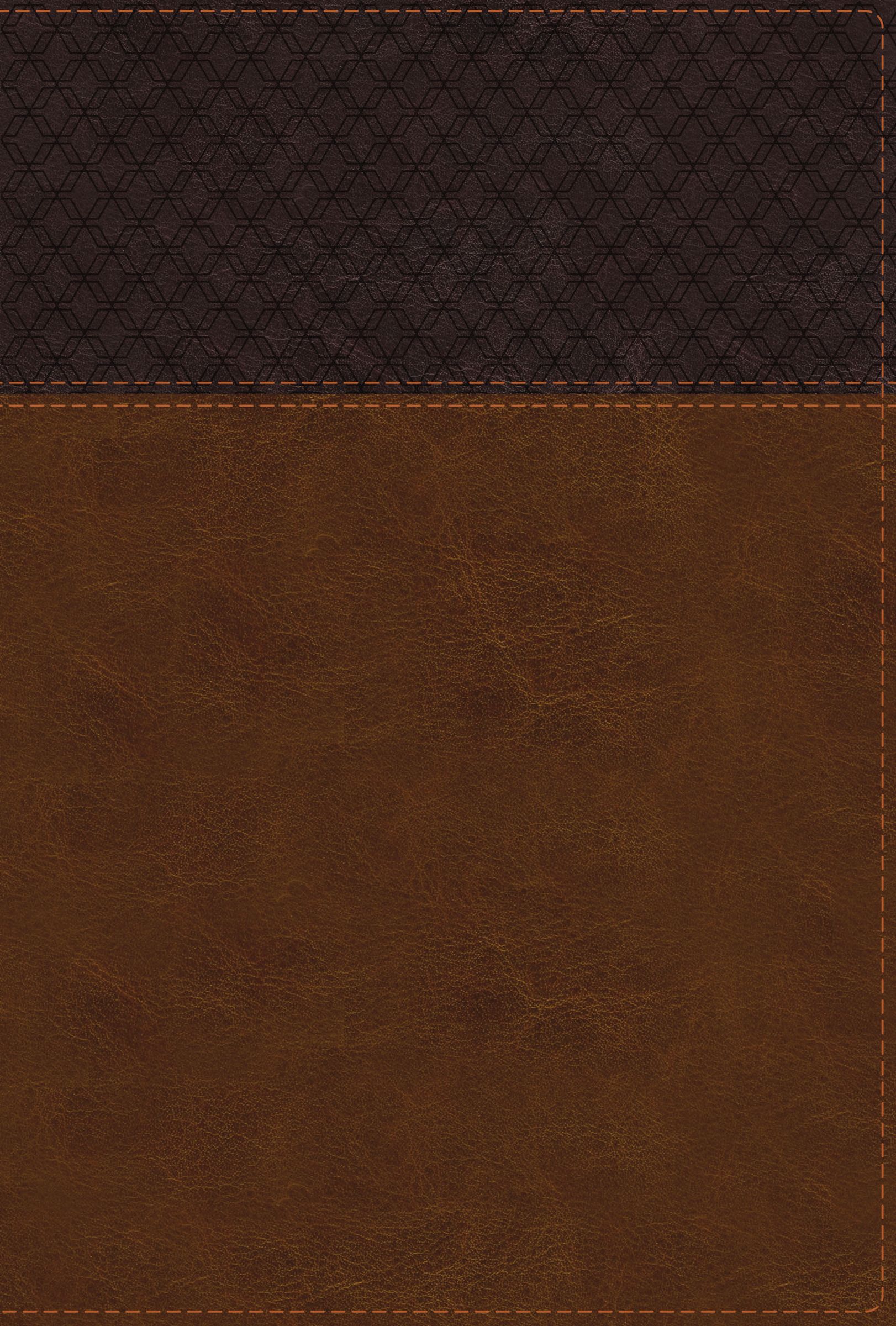 NIV Study Bible, Fully Revised Edition, Large Print, Leathersoft, Brown, Red Letter, Comfort Print