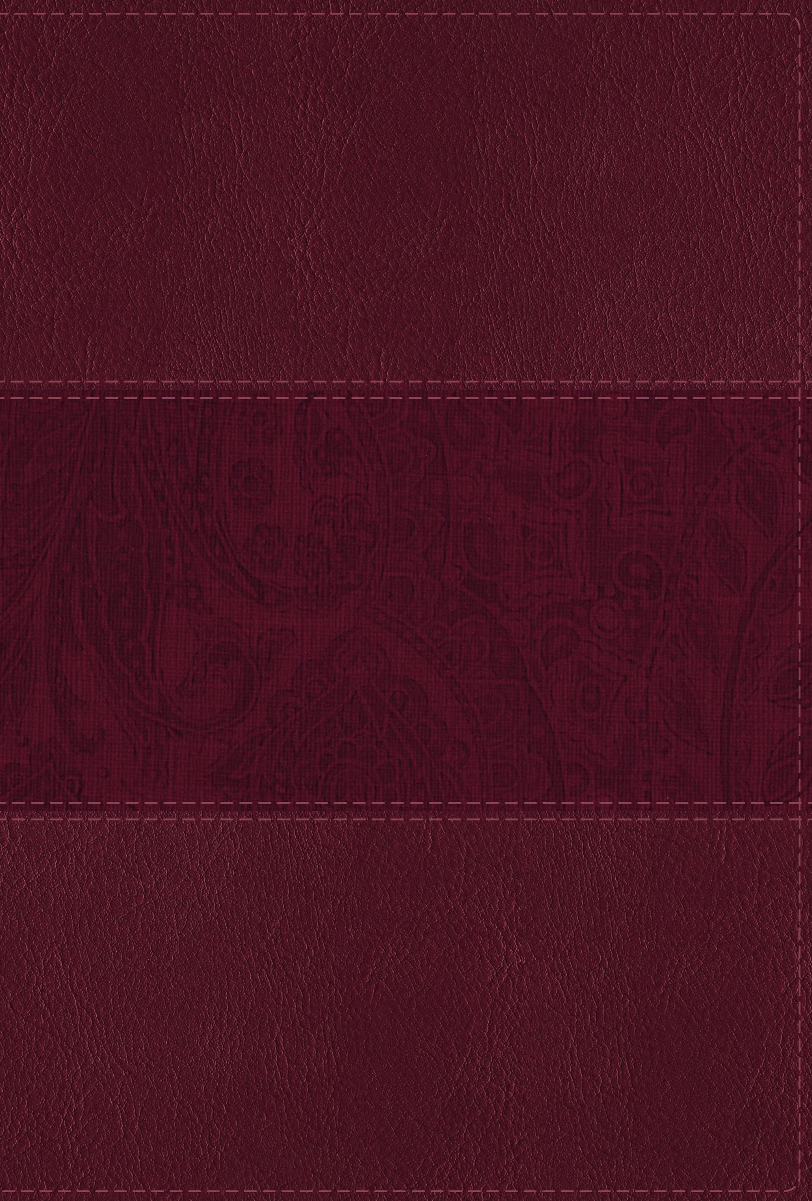 NIV Study Bible, Fully Revised Edition, Large Print, Leathersoft, Burgundy, Red Letter, Comfort Print