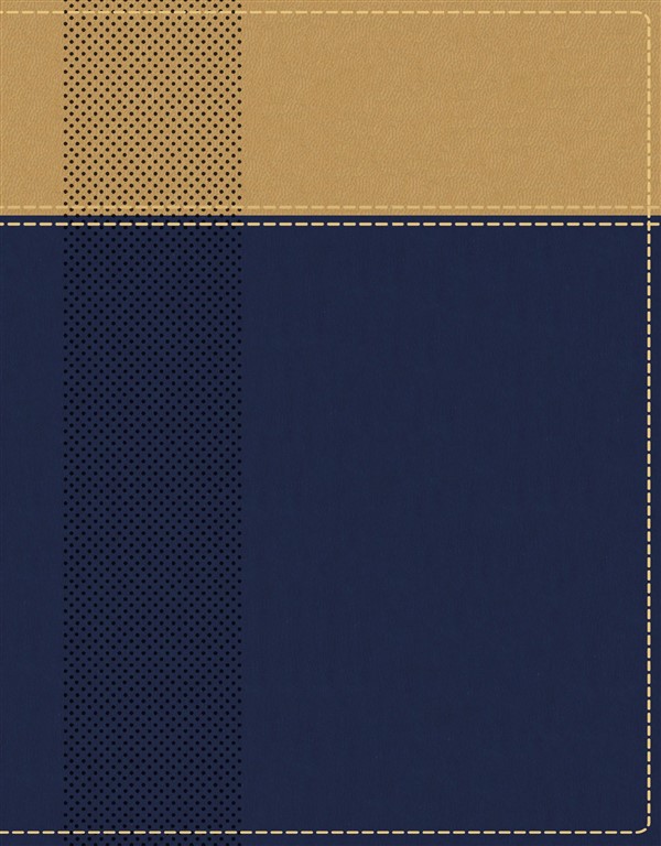 NIV, Starting Place Study Bible, Leathersoft, Navy/Tan, Thumb Indexed, Comfort Print