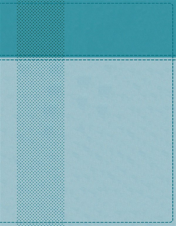 NIV, Starting Place Study Bible, Leathersoft, Teal, Thumb Indexed, Comfort Print