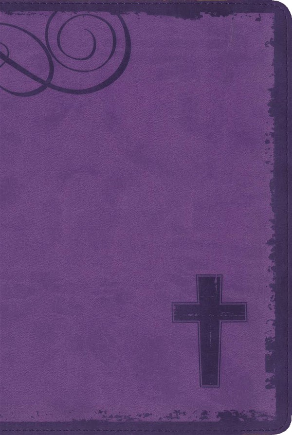 NIV, Rock Solid Faith Study Bible for Teens, Leathersoft, Purple