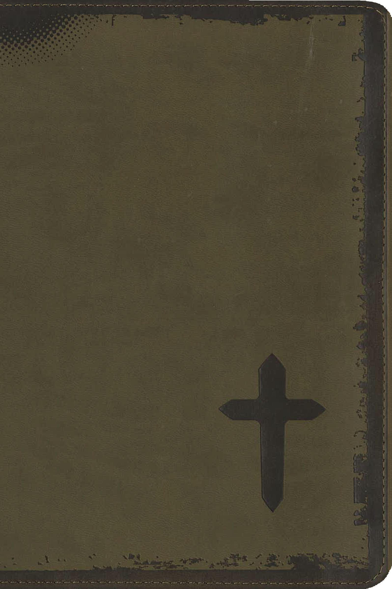 NIV, Rock Solid Faith Study Bible for Teens, Leathersoft, Brown, Printed Page Edges