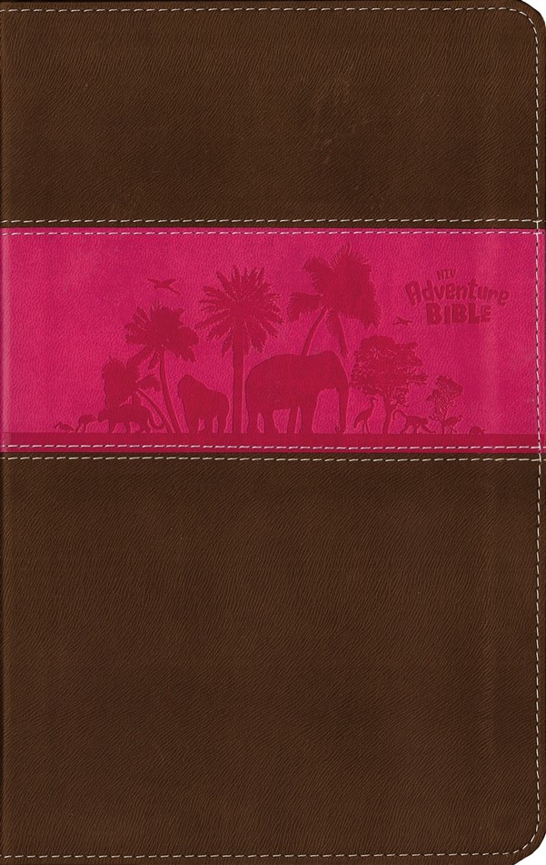 NIV, Adventure Bible, Imitation Leather, Pink/Brown, Full Color