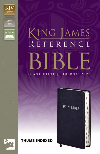 KJV, Reference Bible, Giant Print, Personal Size, Bonded Leather, Navy, Indexed, Red Letter Edition