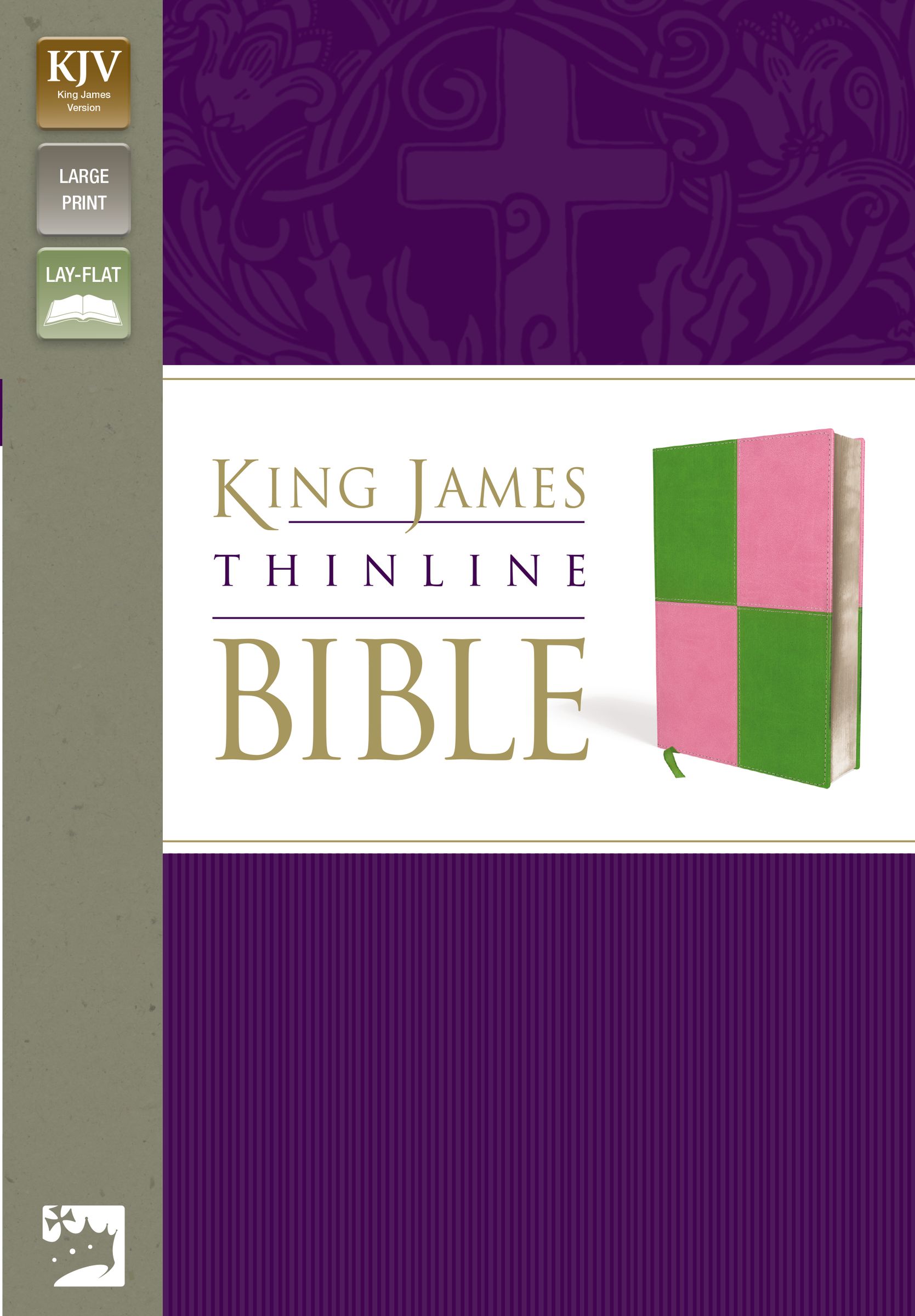 KJV, Thinline Bible, Large Print, Imitation Leather, Green/Pink, Red Letter Edition