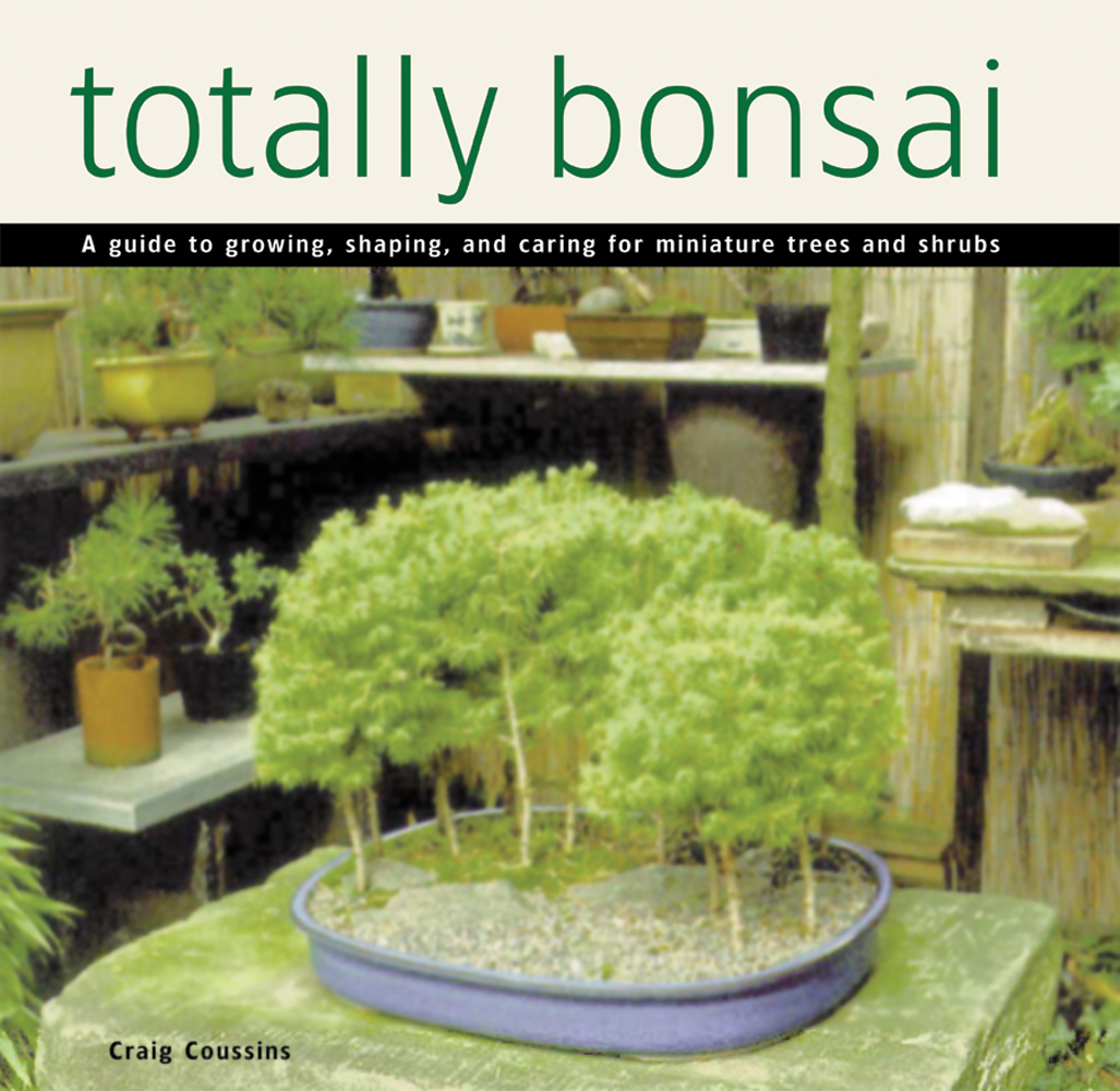 Totally Bonsai