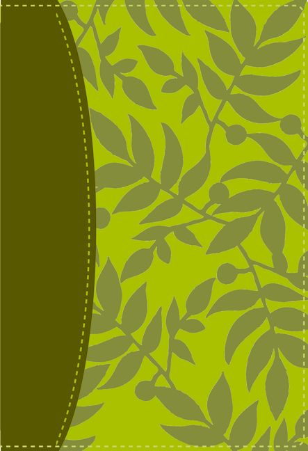 Santa Biblia de estudio Serie 50 RVR 1960