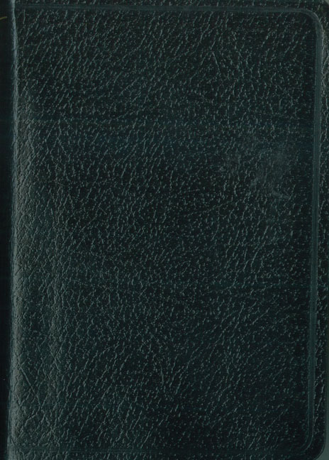 Santa Biblia de bolsillo NVI