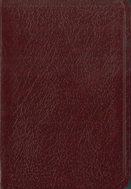 Santa Biblia de bolsillo NVI