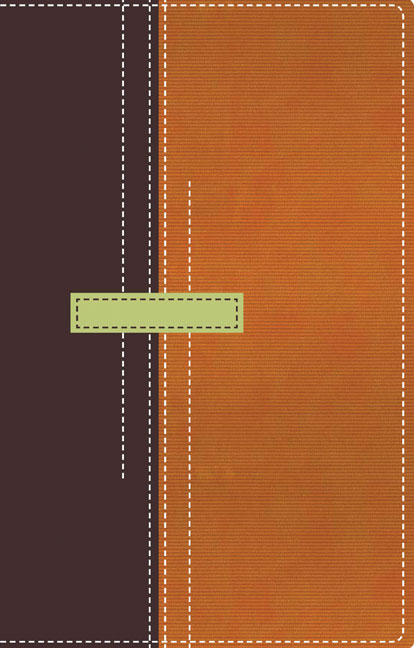 Biblia de referencia Thompson Reina Valera 1960, tamaño personal, Italian Duo-tone / Spanish Thompson Chain Reference Bible RVR60, Personal Size