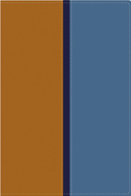 Reina Valera 1960 /NVI Biblia Paralela, Leahtersoft, Beige-Azul