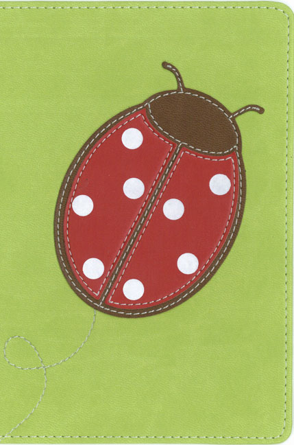 NVI Santa Biblia ultrafina compacta, catarina