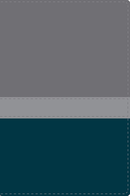 Santa Biblia Lectura Fácil NVI