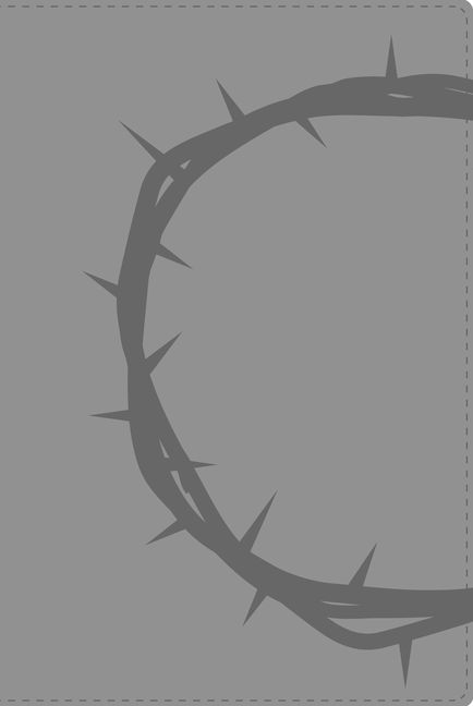 NVI Santa Biblia ultrafina, dos tonos italiana gris