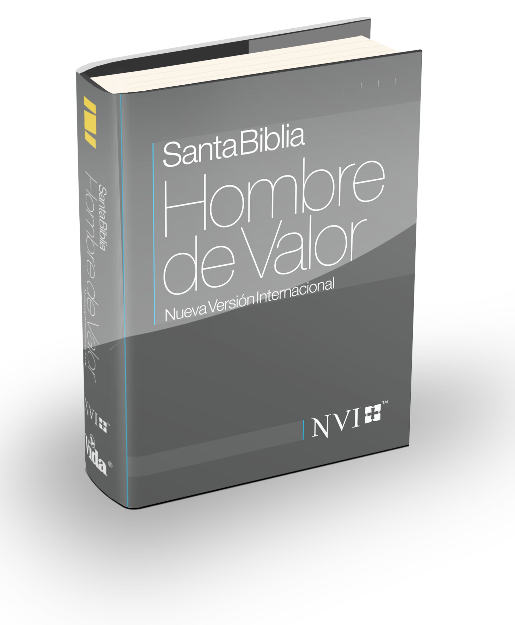 Santa Biblia Hombre de Valor NVI