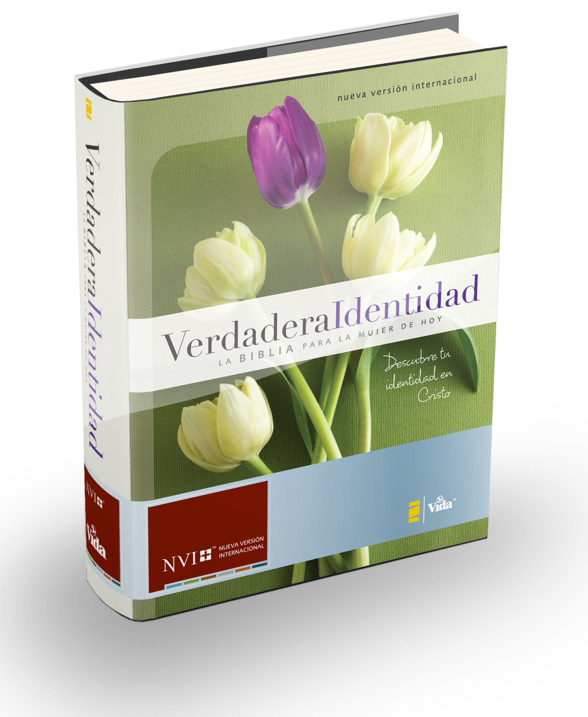 Verdadera identidad NVI