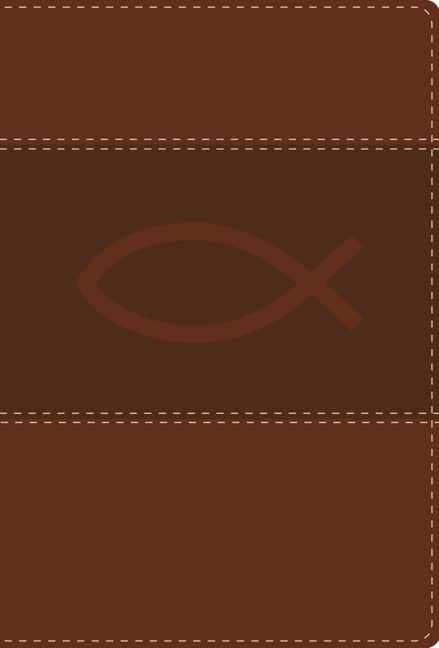 Santa Biblia ultrafina compacta RVR