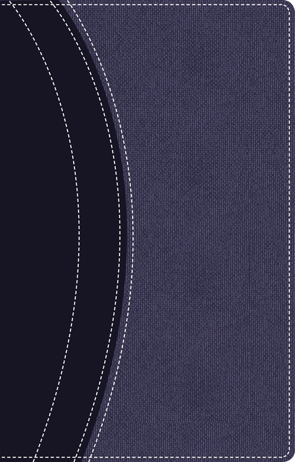 Manantiales en el desierto Biblia NVI