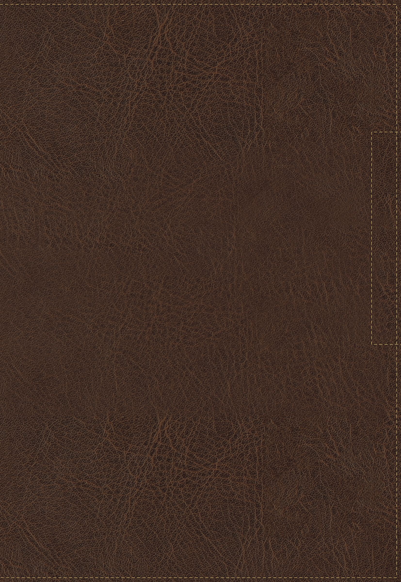 NVI Santa Biblia, Lucado, Palabra de Aliento, Leathersoft, Café, Interior a dos colores